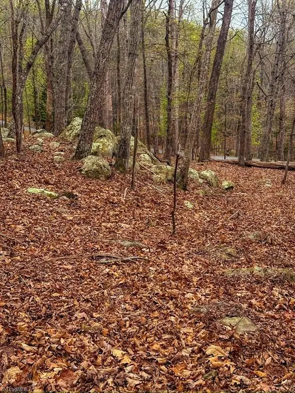 324 Rocky Cove Lane, Denton, NC 27239 - #3