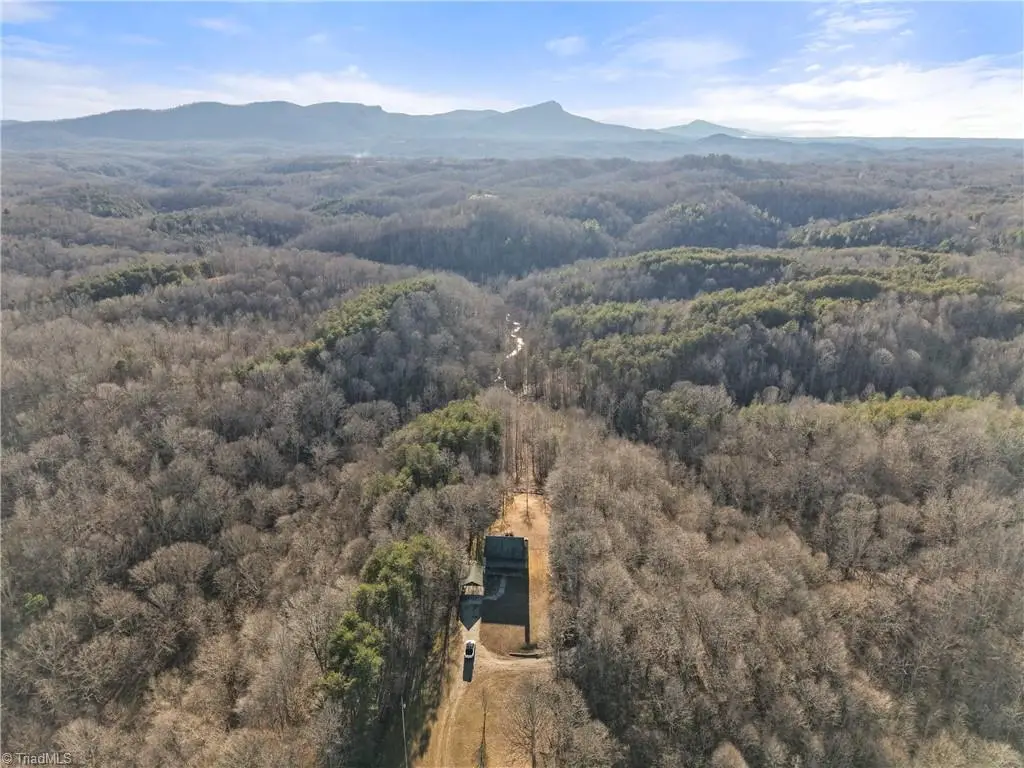 1345 Hardie Mabe Road, Danbury, NC 27016 - #1