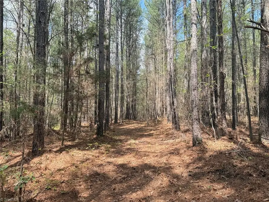 Lot 7 Thompson Road, Seagrove, NC 27341 - #3