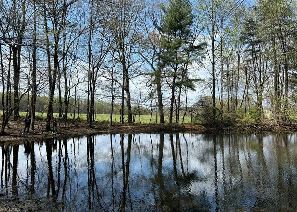 TBD Caves Mill Road, Dobson, NC 27017 - #1