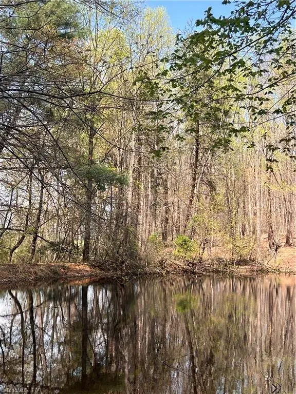 TBD Caves Mill Road, Dobson, NC 27017 - #2