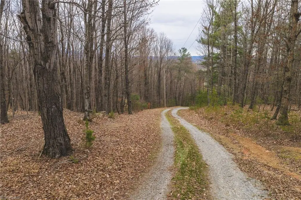 Tract 4 All Healing Springs Road, Taylorsville, NC 28681 - #1