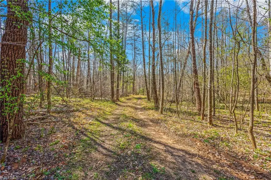 0 Farm Road, Pilot Mountain, NC 27041 - #2