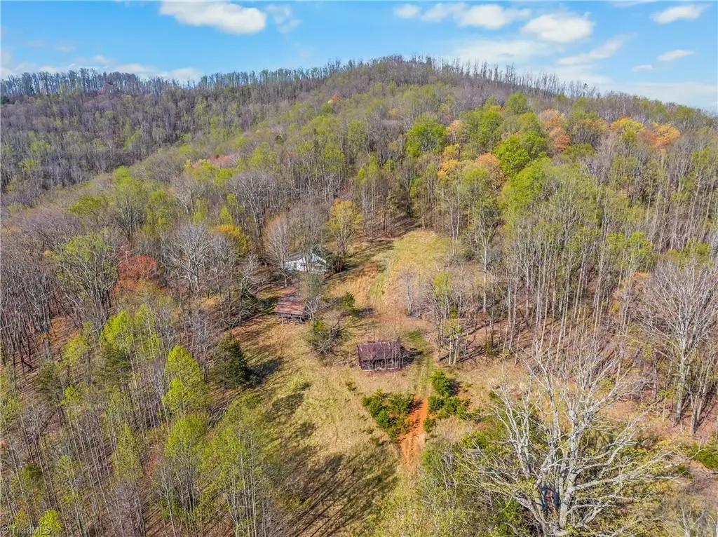 378 Bright Hill Lane, Pilot Mountain, NC 27041 - #1