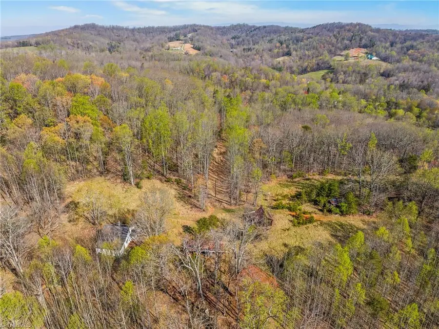 378 Bright Hill Lane, Pilot Mountain, NC 27041 - #2