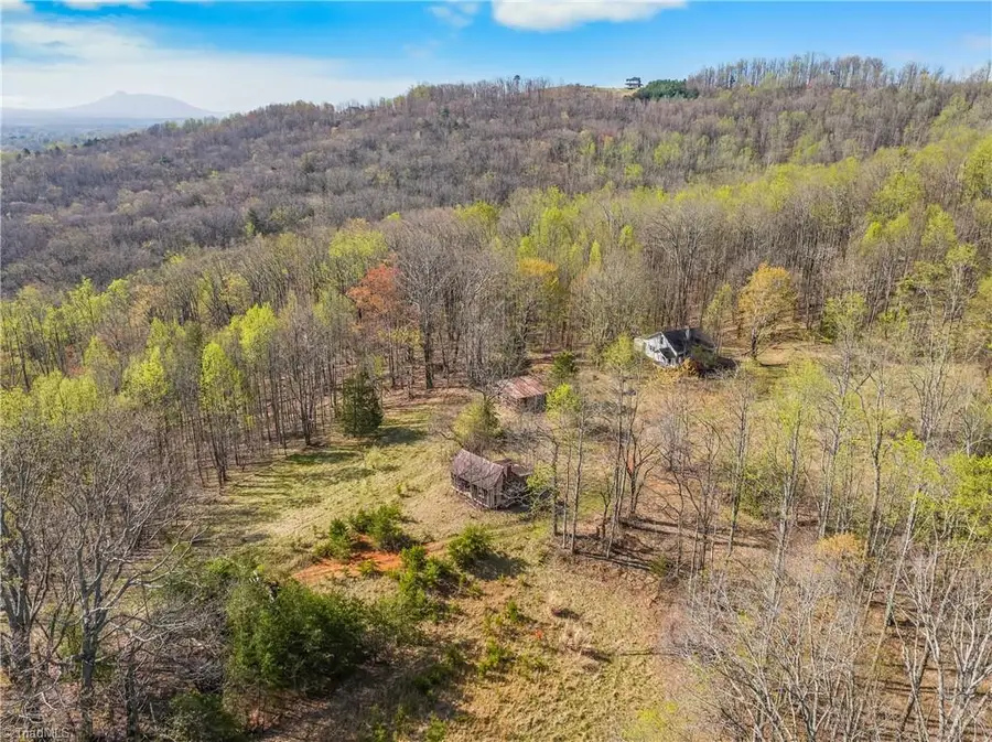 378 Bright Hill Lane, Pilot Mountain, NC 27041 - #3