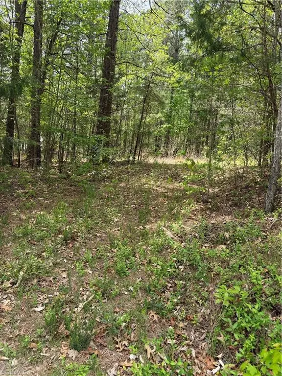 0 Clyde King Road, Seagrove, NC 27341 - #1