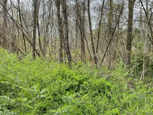 00 Old Walker Mill Road, Randleman, NC 27317 - #1