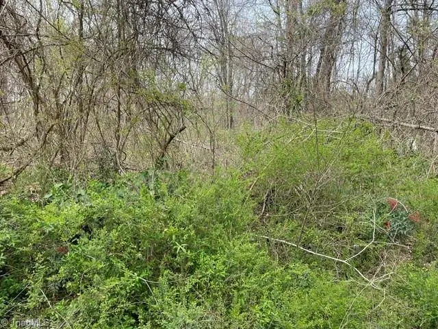 00 Old Walker Mill Road, Randleman, NC 27317 - #2