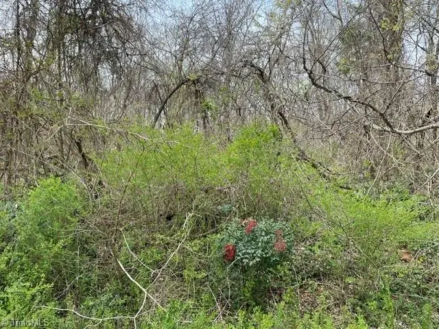 00 Old Walker Mill Road, Randleman, NC 27317 - #3