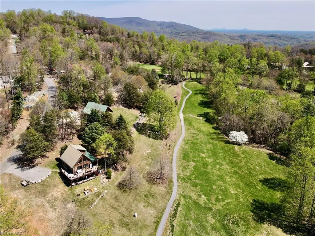 217 Fairview Drive, Traphill, NC 28685 - #1