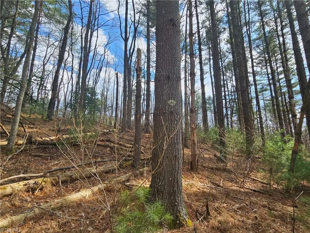 TBD Panorama Drive, Todd, NC 28684 - #1