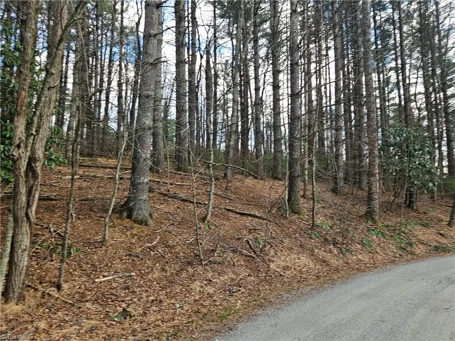 TBD Panorama Drive, Todd, NC 28684 - #2
