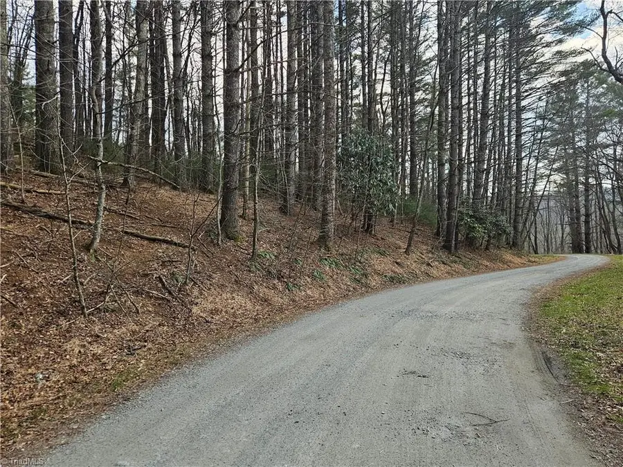 TBD Panorama Drive, Todd, NC 28684 - #3