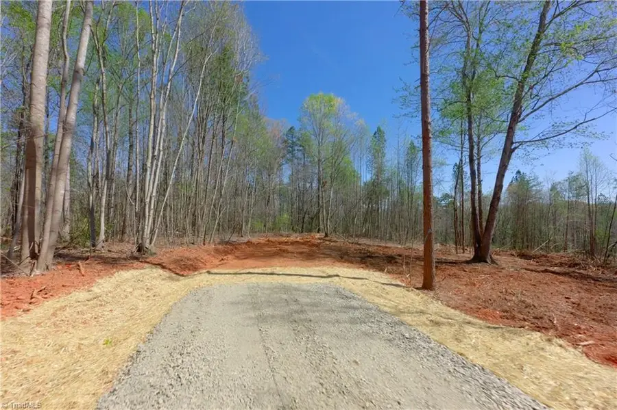 1 Alexander Farm Road, Harmony, NC 28634 - #3