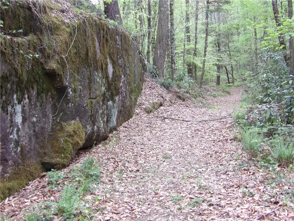 00 Barlowe Place, Lenoir, NC 28645 - #1