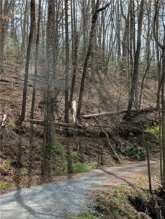 00 Barlowe Place, Lenoir, NC 28645 - #2