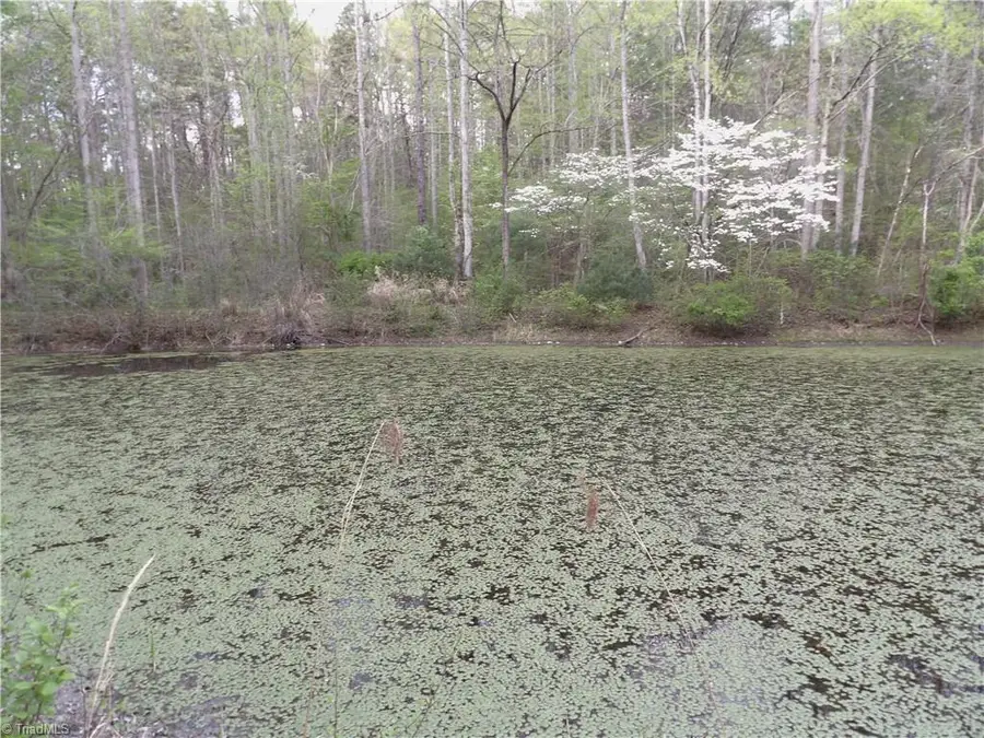 00 Barlowe Place, Lenoir, NC 28645 - #3