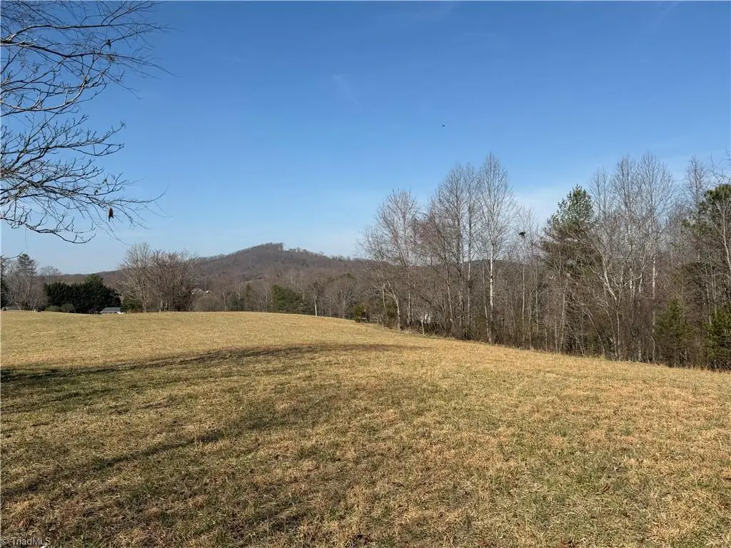 1442 Flippin Road, Mount Airy, NC 27030 - #1