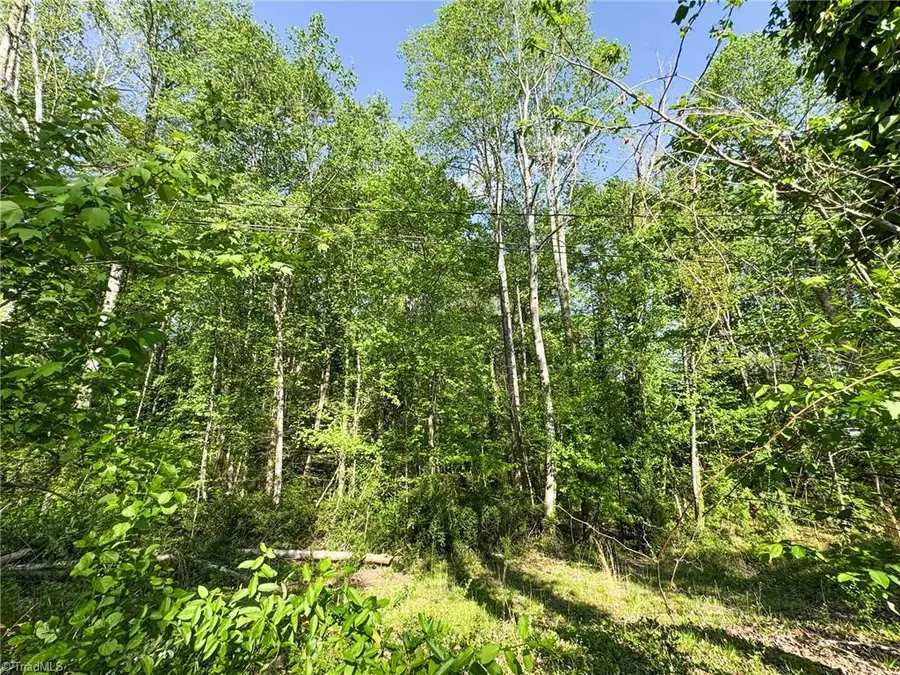 2133 Westminister Lane, Winston Salem, NC 27106 - #2