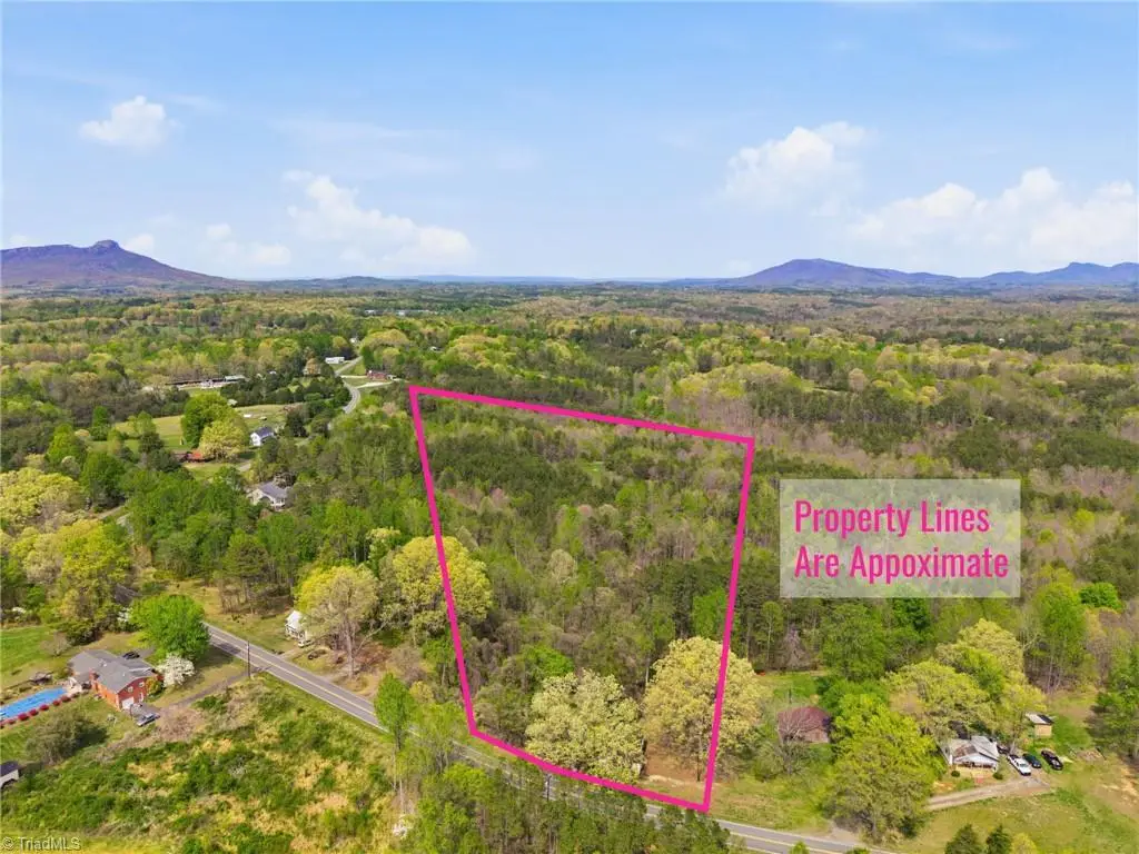 1301 Spainhour Mill Road, Pinnacle, NC 27043 - #1