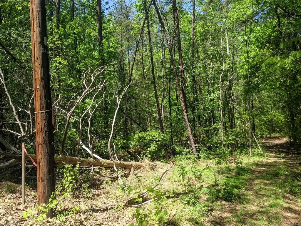 3837 Eastview Drive, Wallburg, NC 27107 - #1
