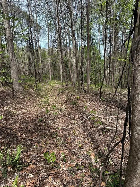 0 Will Boone Road, Mocksville, NC 27028 - #1
