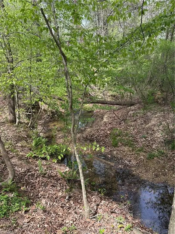 0 Will Boone Road, Mocksville, NC 27028 - #2