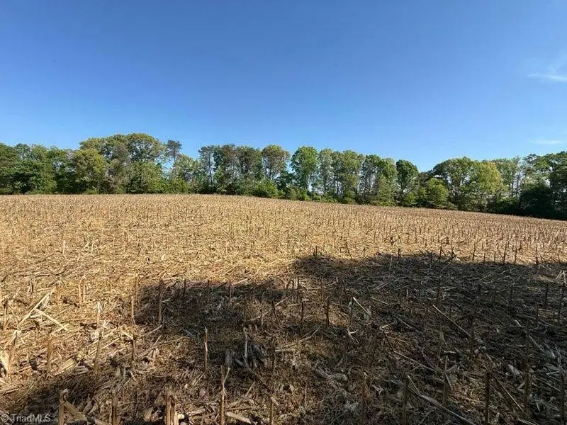 1828 Casstevens Road, Yadkinville, NC 27055 - #1