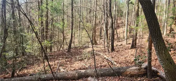 TBD Cane Creek Church Road, McGrady, NC 28649