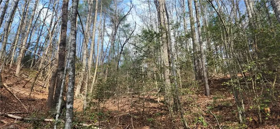 TBD Cane Creek Church Road, McGrady, NC 28649 - #3