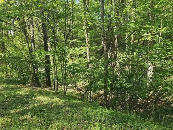 00 Rocky Lane, Wilkesboro, NC 28697
