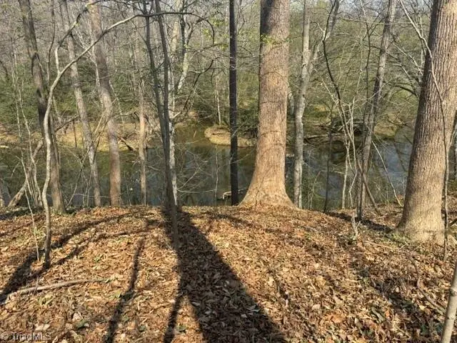 0 Cedar Springs Road, Randleman, NC 27317 - #1