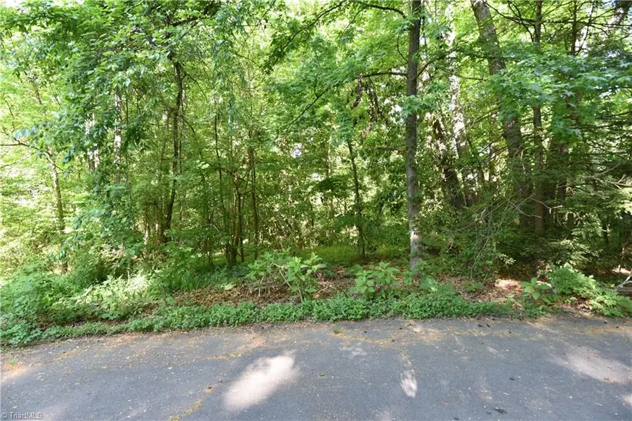 8212 Troxaway Court, Lewisville, NC 27023 - #2