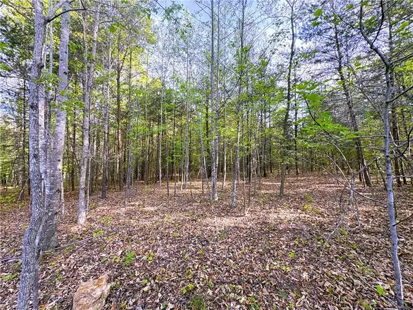 521 Matrimony Road, Eden, NC 27288
