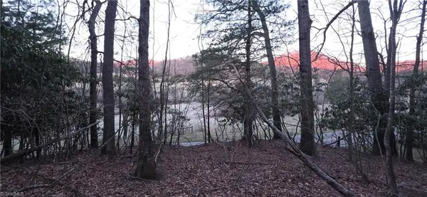 0 Air Bellows Gap Road, Sparta, NC 28675