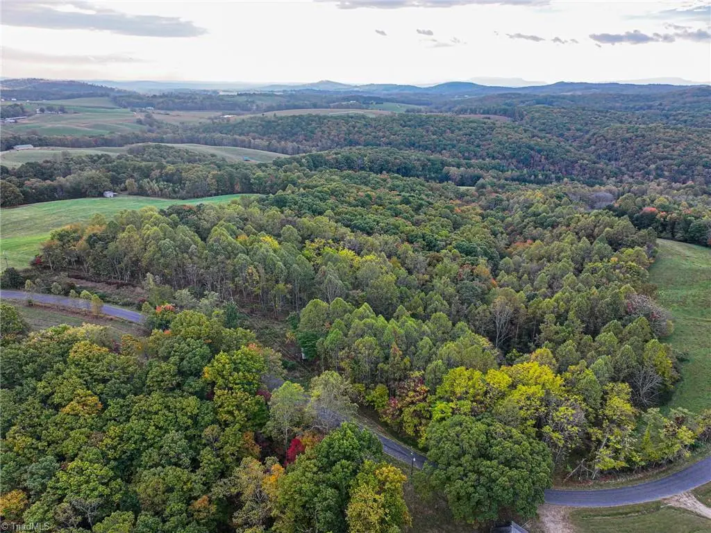 TBD Pedigo Ridge Road, Claudville, VA 24076 - #1