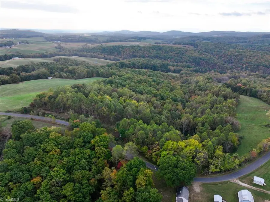 TBD Pedigo Ridge Road, Claudville, VA 24076 - #2