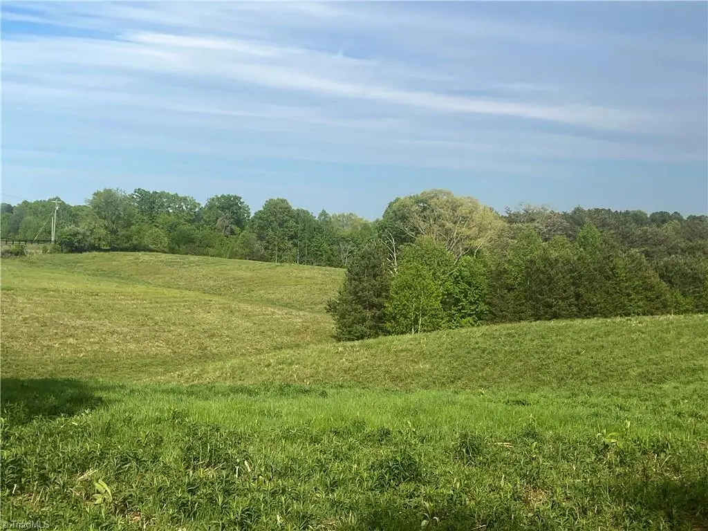 0000 George Chandler Road, Mount Airy, NC 27030 - #1