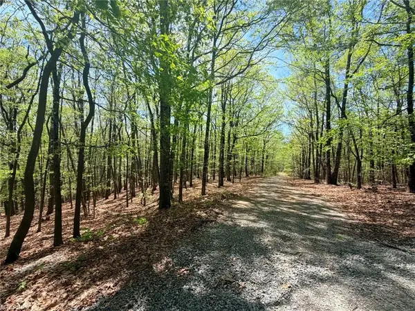 TBD Raven Ridge Trail, Dobson, NC 27017