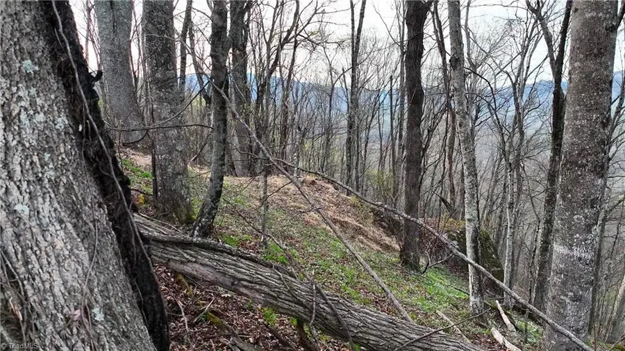 94 Bucks Ridge #15-17, Clyde, NC 28721 - #3