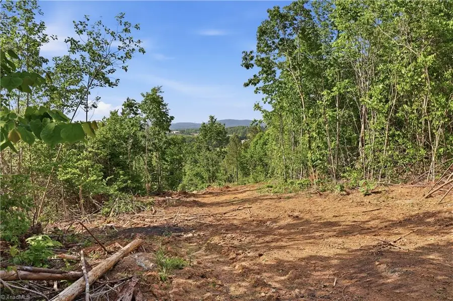 808 Neely Road, Asheboro, NC 27205 - #3