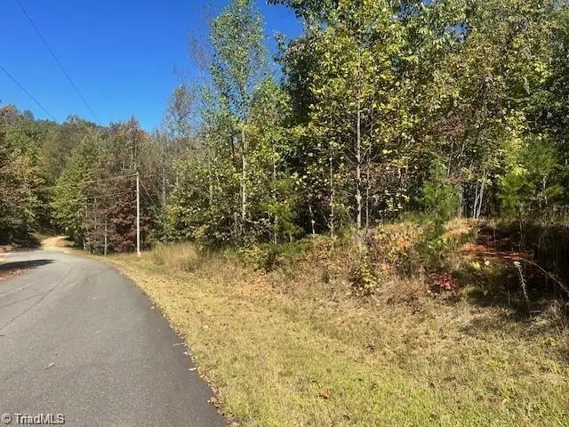 Lot 19 Longview Bluffs, Boomer, NC 28606 - #2