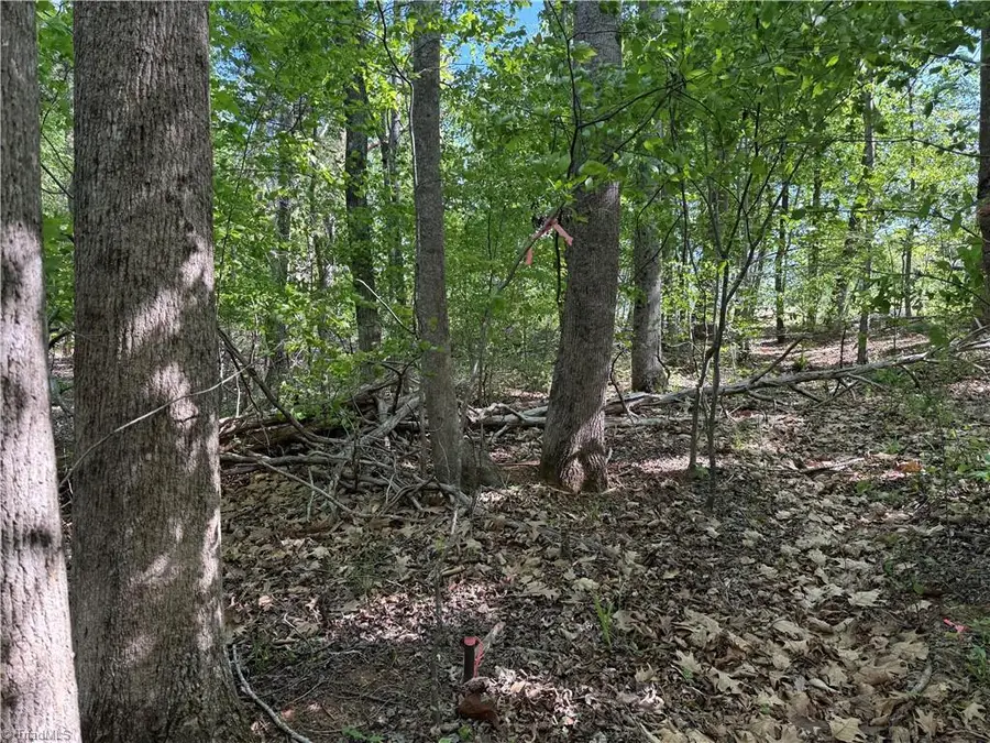 618 Crystal Cove Lane, Yanceyville, NC 27379 - #3