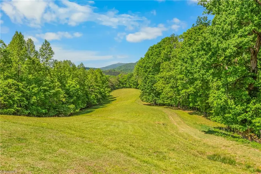 1392 Mission Road, Danbury, NC 27016 - #2