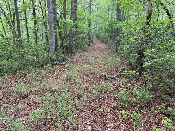 TBD West Ridge Road, Ferguson, NC 28624