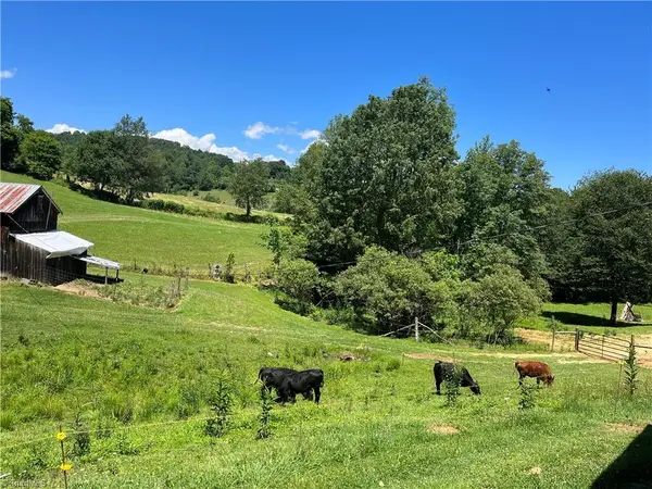 880 Flatwoods Post Office Road, Creston, NC 28615