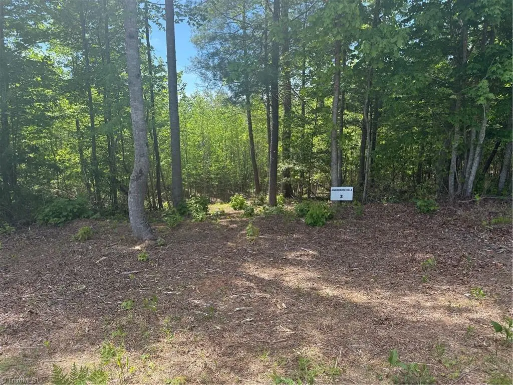 00 Parks Ridge Road, Wilkesboro, NC 28697 - #1