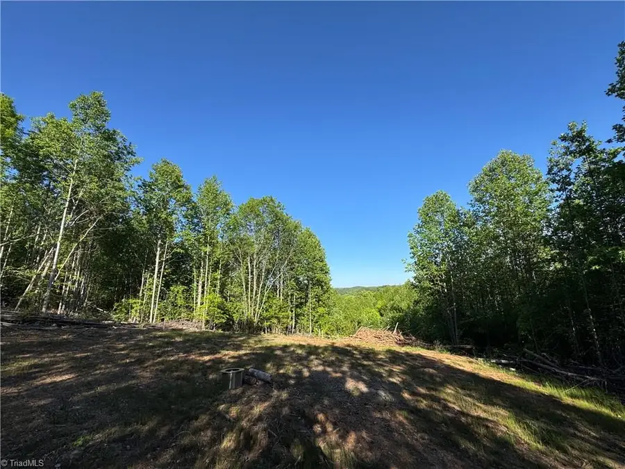 Tract 3 River Rd Liberty Grove Road, North Wilkesboro, NC 28659 - #2