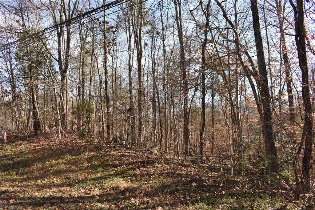 192 Young Drive #New Tract 1, Lexington, NC 27292 - #1